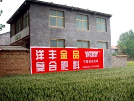 长丰如何让墙体广告展现最大化效果