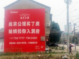 长丰墙体广告在乡镇、农村市场的媒体优势