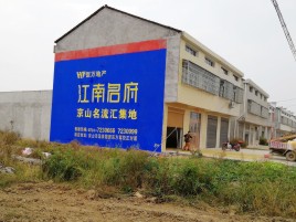 长丰农村墙体广告在不同形式上面展现的不同特色