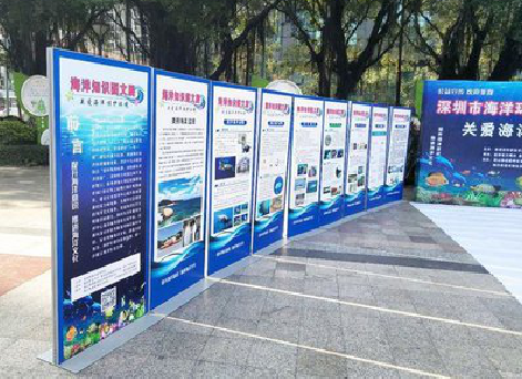 长丰KT板的种类和知识。